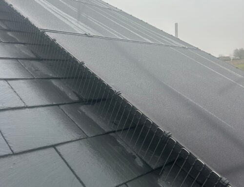 Why is Bird Deterrent so important on solar pv installations?